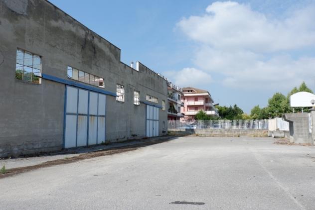 Industriale/Artigianale in vendita a Colonnella - Foto 10