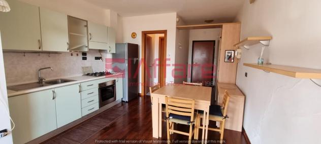 Appartamento in affitto a Calcinaia 30 mq Rif: 1256427 - Foto 7