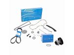Kit Catena Distribuzione Cinghia Servizi e Pompa Acqua SKF Auto Fiat Ford Lancia