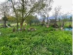 Terreno agricolo in vendita a Casetta - Castelnuovo Berardenga 5897 mq  Rif &hellip;