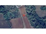 Immobile in asta di 88880 m² in vendita a Gerocarne