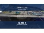 Immobile in asta di 194 m² con più di 5 locali in vendita a Ficulle