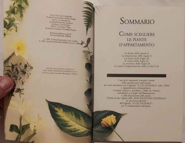 LE PIANTE DA APPARTAMENTO a cura di John Brookes 1°Edizione: Mondadori, 1990 - Foto 5