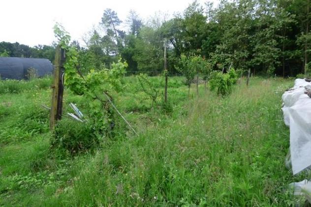 Terreno edif. residenziale in vendita a San Leonardo In Treponzio - Capannori 1500 mq Rif: 1385905 - Foto 7