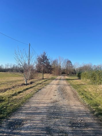 Oasi di 20.000 mq con lago, pesca e area coltivabile - Foto 2