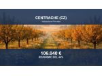 Immobile in asta di 111810 m² in vendita a Centrache