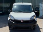 Fiat Doblo Dobl1.3 MJT S&S PC-TN Cargo Business