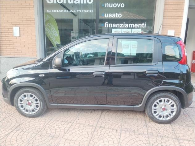 Fiat Panda 1.0 FireFly S&S Hybrid - Foto 8