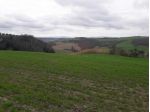 Terreno agricolo in vendita a Asciano 350000 mq  Rif: 1287142