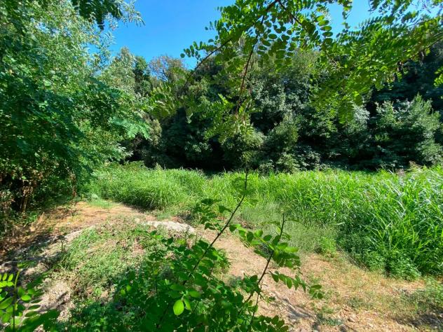 Terreno agricolo in vendita a Buti 1000 mq Rif: 1427835 - Foto 8