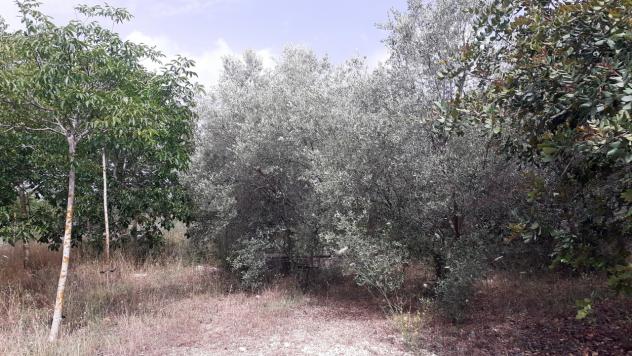 Agricolo in vendita a Noto - Foto 17