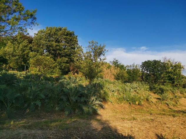 Terreno agricolo in vendita a Poggibonsi 3500 mq Rif: 1335508 - Foto 9