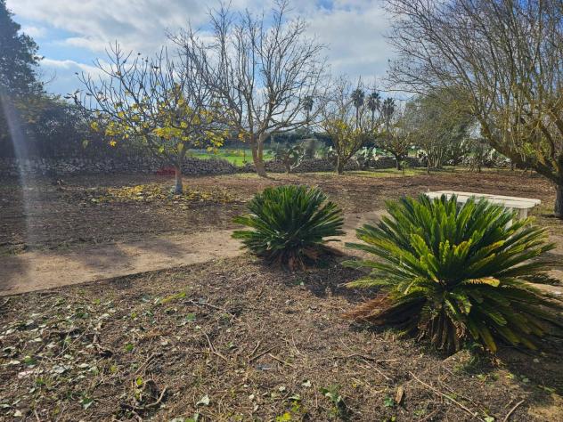 Terreno Edificabile in vendita a Ragusa, Gesuiti Pianetti - Foto 17