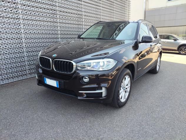 BMW X5 X5 xdrive25d Business 231cv auto