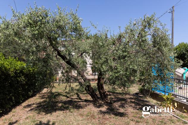 Terratetto - San Giovanni in Marignano . Rif.: MV017VRG - Foto 12