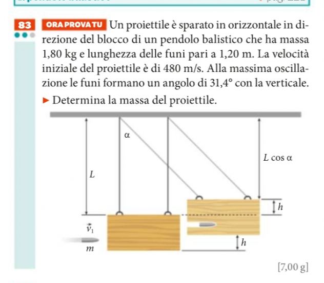 Ripetizioni Matematica e Fisica