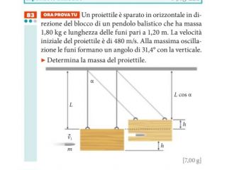 Ripetizioni Matematica e Fisica