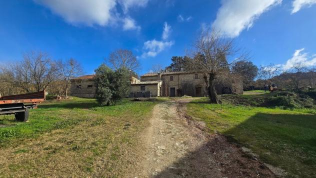 Azienda Agricola in vendita a Baschi - Foto 10