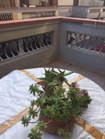 Casa singola in affitto a Avenza - Carrara 80 mq Rif: 580779 - Foto 5
