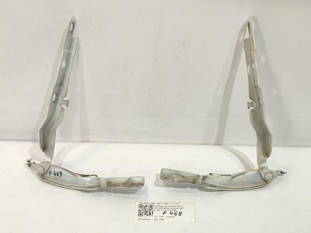 CERNIERE COFANO ANTERIORE DX E SX CITROEN C4 Cactus 9801113880 9801113880 HM01 (1418)