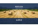 Immobile in asta di 2170 m² in vendita a Sestu