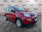 FIAT Panda Panda 1.0 firefly hybrid 70cv 5 POSTI, PRONTA CONSEGNA!