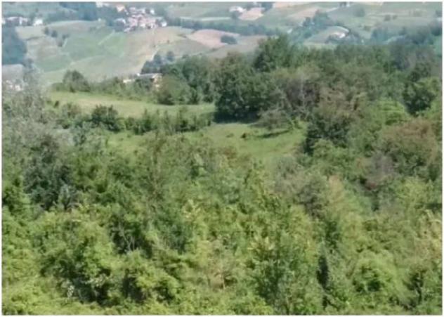 Immobile in asta di 91609 m² in vendita a Pianello Val Tidone - Foto 6