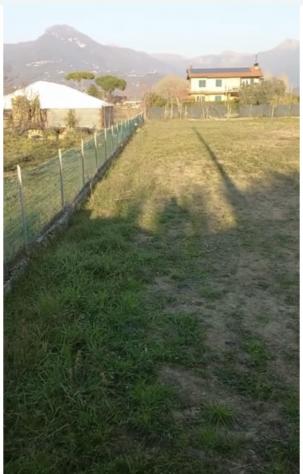 Agricolo in vendita a Pietrasanta - Foto 3