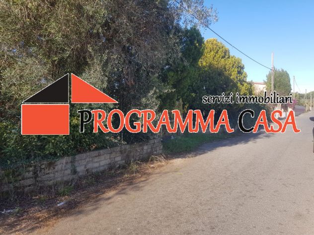 POMEZIA NORD CONSORZIO MONTE D'ORO VENDESI TERRENO E RUSTICO - Foto 6
