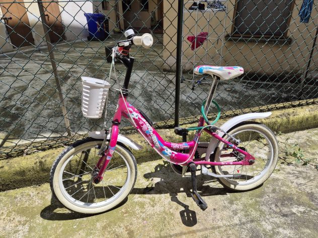 Bicicletta bambina 4-7 anni