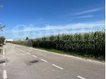 Terreno Agricolo - Marostica . Rif.: Cod. rif 3315473VCG