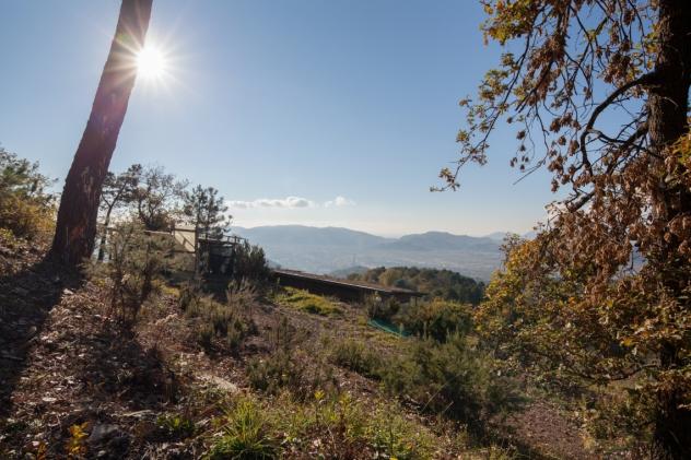 Villa in vendita a Sarzana - Foto 3