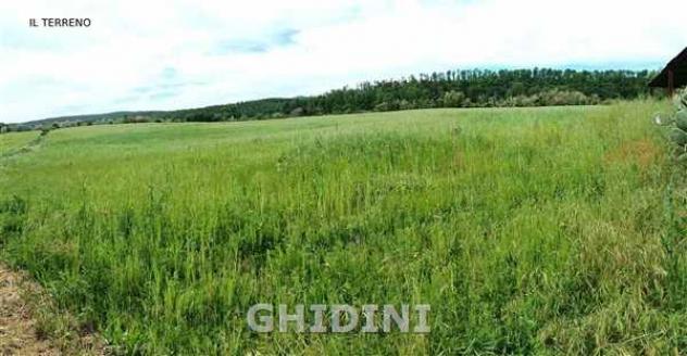 AZIENDA AGRICOLA di 10 vani e di 350 mq (CIVITELLA PAGANICO - PAGANICO) rif. 2571.300M. - Foto 8