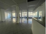 Locale comm.le/Fondo in vendita a Livorno 298 mq  Rif: 1356909