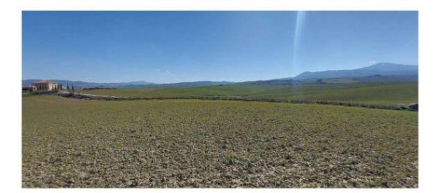 Immobile in asta di 508625 m² in vendita a Castiglione d'Orcia - Foto 5