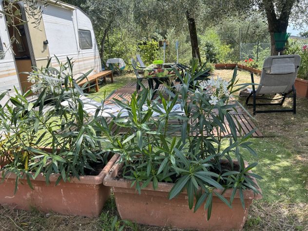 Lago di Garda in roulotte a Castelletto di Brenzone - Foto 8