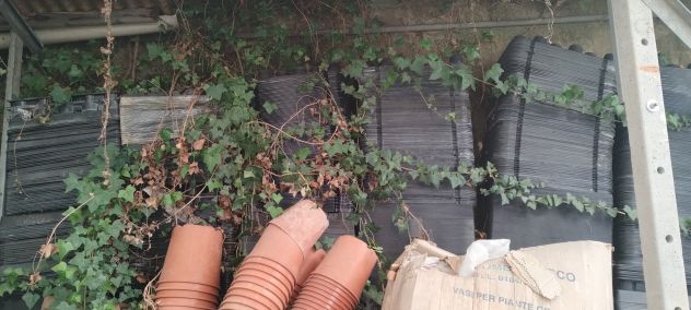 Vasi e vassoi per semenze e piante grasse - Foto 8
