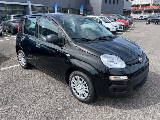 FIAT Panda 1.0 FireFly 70cv S&S Hybrid Pandina - Foto 3
