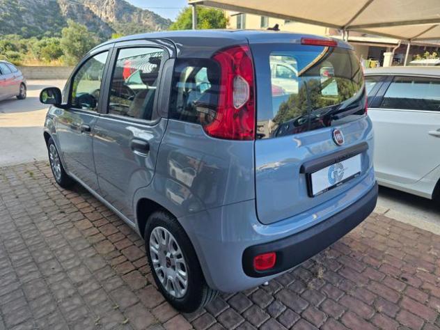 FIAT Panda 1.0 FireFly S&S Hybrid rif. 22500823 - Foto 2