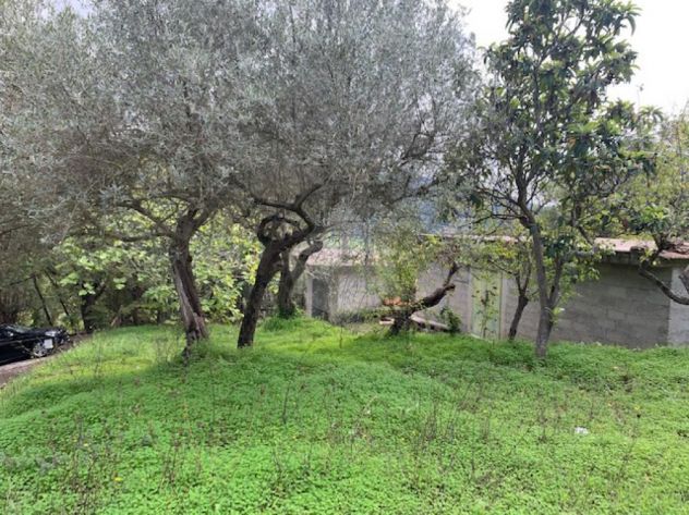 terreno Madonna del carmine - Foto 4