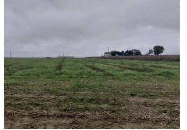 339/2024 2 BG - terreni agricoli in asta a pagazzano - Foto 12