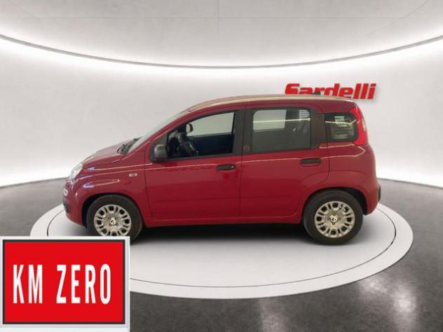 FIAT Pandina 1.0 FireFly 65 CV Hybrid Icon rif. 24123153 - Foto 6