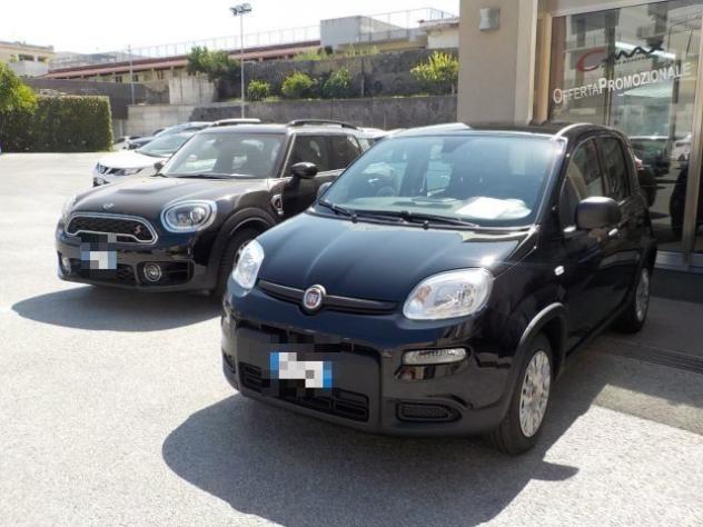 FIAT Panda MY25 - 1.0 FireFly Hybrid POP rif. 24089263 - Foto 2