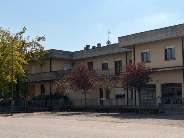 Budrio (BO) - Affittasi capannone produttivo - Foto 9