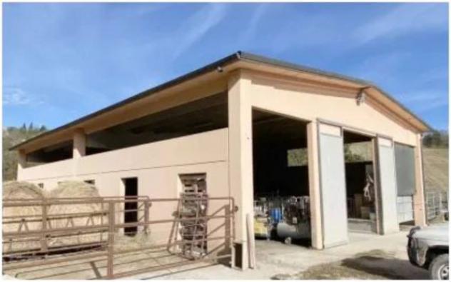 Immobile in asta di 327 m² in vendita a Pergola - Foto 6