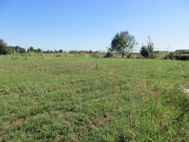 Terreno edificabile in vendita a Borgoricco - Foto 2