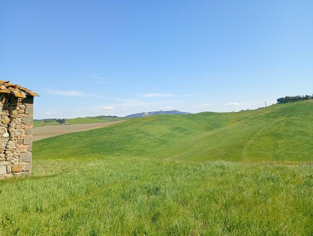 COLONICA di 8 vani e di 800 mq (LAJATICO) rif. L 300 - Foto 9