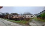 Terreno in vendita a Strevi - Rif. 4550215