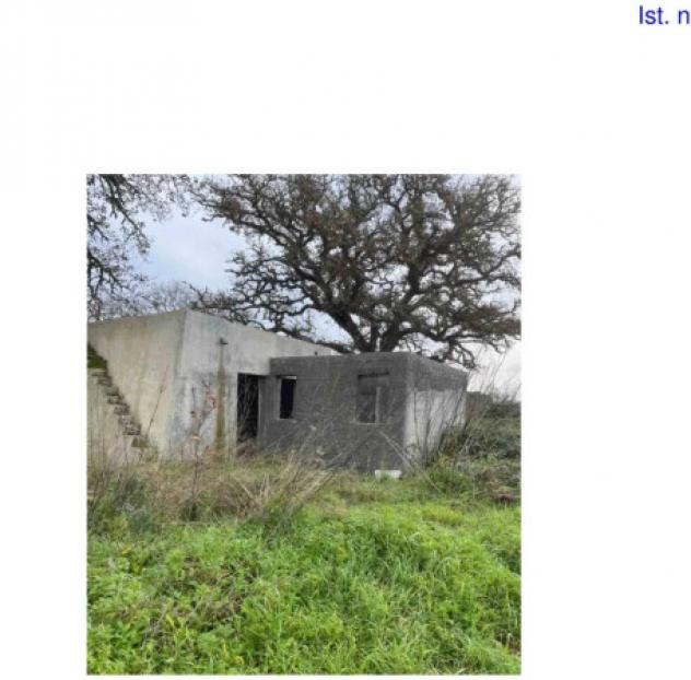 Immobile in asta di 26508 m² in vendita a Tricase - Foto 5