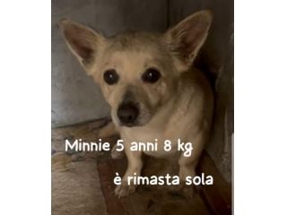 MINNIE NON SORRIDE PIÙ